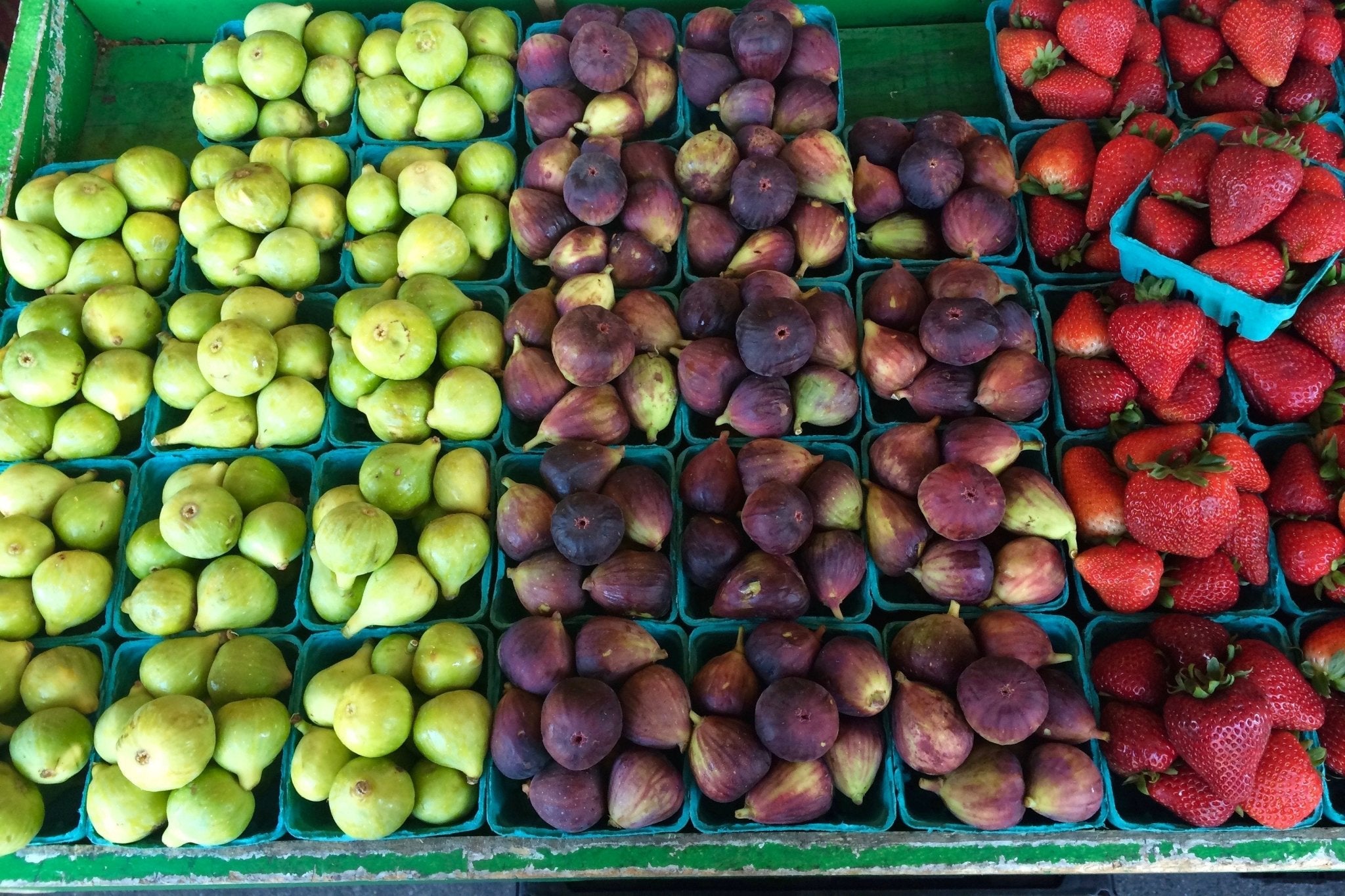 Human Optimisation: what to eat in September for optimal health | Motion Nutrition