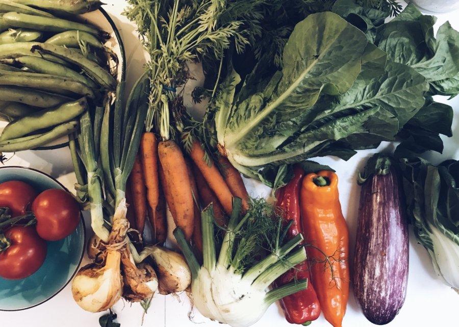 Is going Full Vegan really the Most Sustainable Diet? | Motion Nutrition