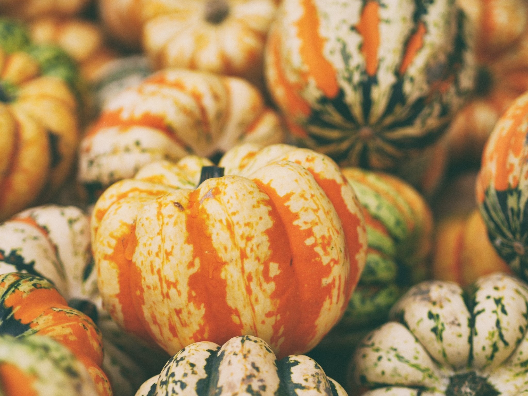 Pumpkin Spice Protein Porridge | Motion Nutrition